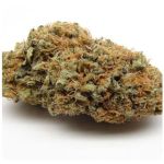 Шишки AK47 (Гидропоника, Бошка) VHQ в Кстово Шишки AK47 (Гидропоника, Бошка) VHQ в Кстово