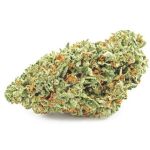 Шишки OG Kush (Гидропоника, бошки) VHQ в Кстово Шишки OG Kush (Гидропоника, бошки) VHQ в Кстово